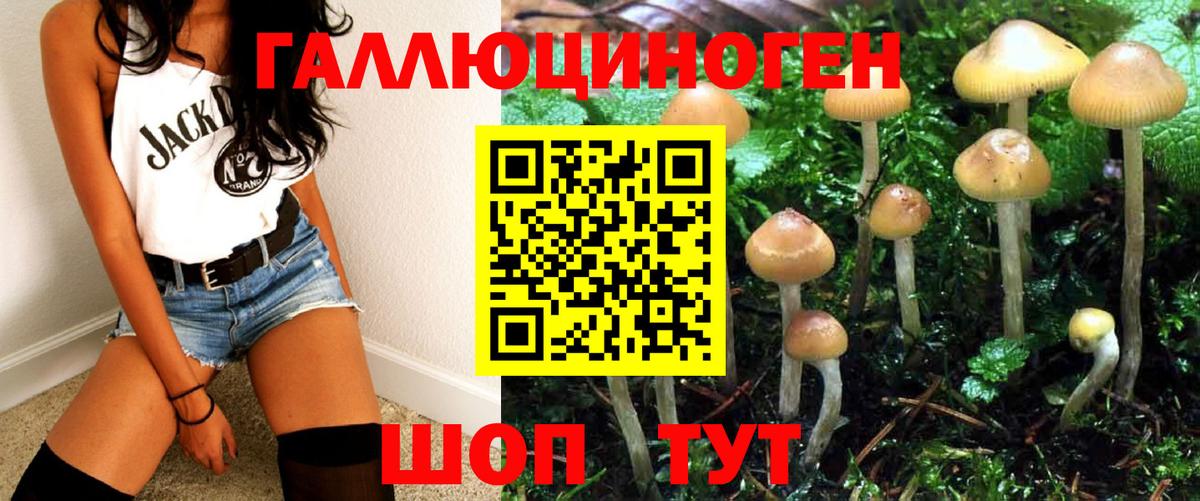 Саянск  Галлюциногенные грибы Cubensis  Вход с VPN 